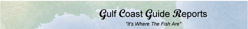Gulf Coasts Guide Reports Image