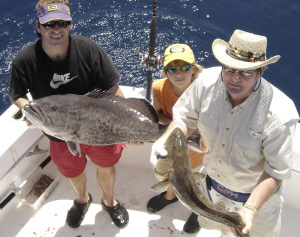 grouper