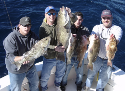 Grouper From Captain Don McPherson