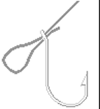 Palomar Knot