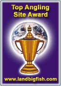 Site Award
