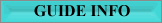 Gulf Coasts Fishing Guides